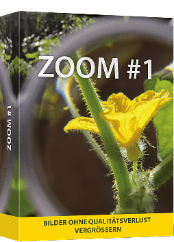 ZOOM #1 - Bilder mit Deep-Learning hochwertig skalieren