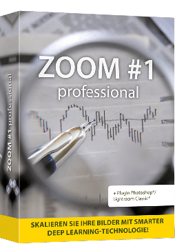 ZOOM #1 professional - Bilder mit Deep-Learning hochwertig skalieren